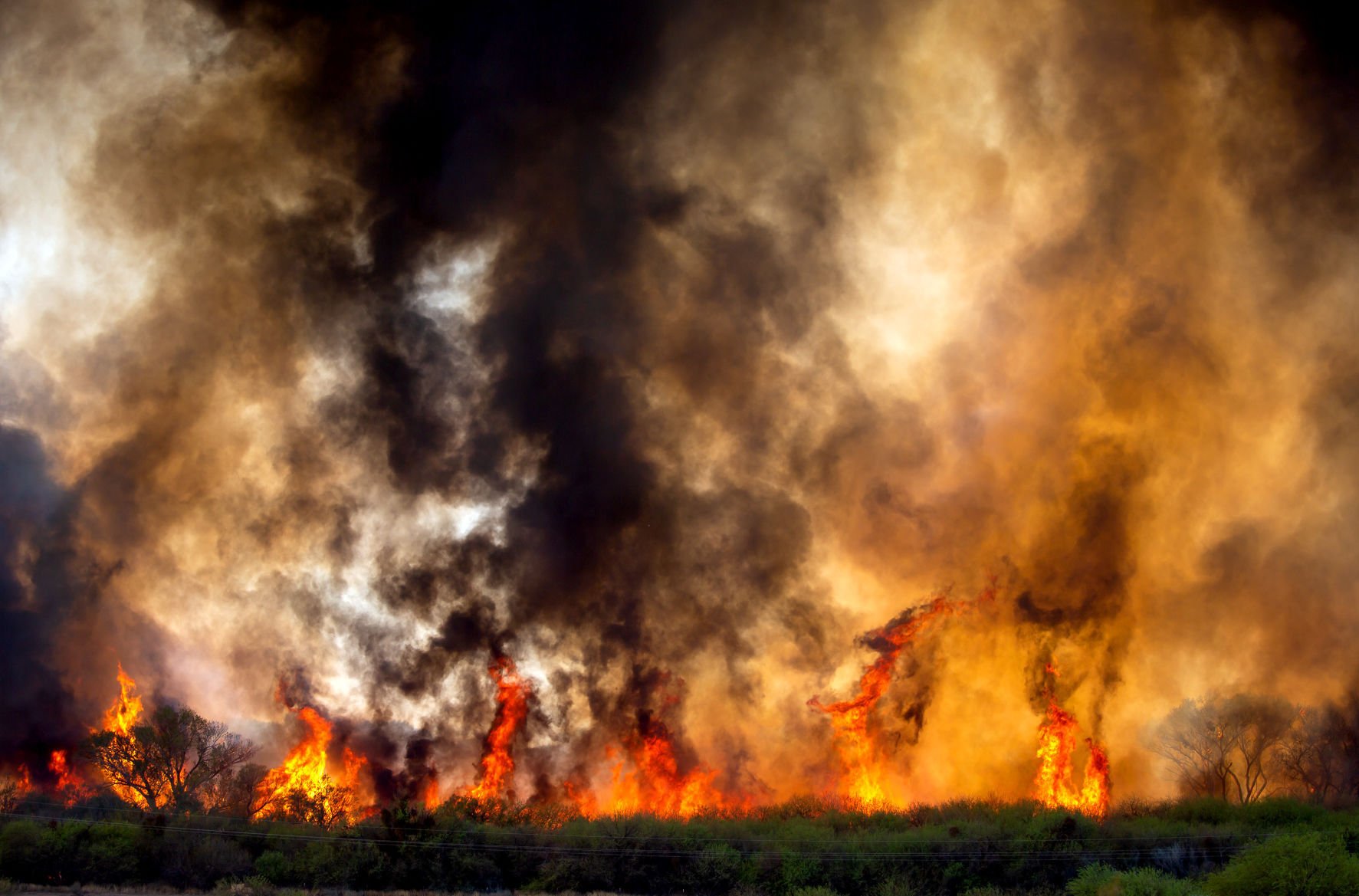 Margo Fire
